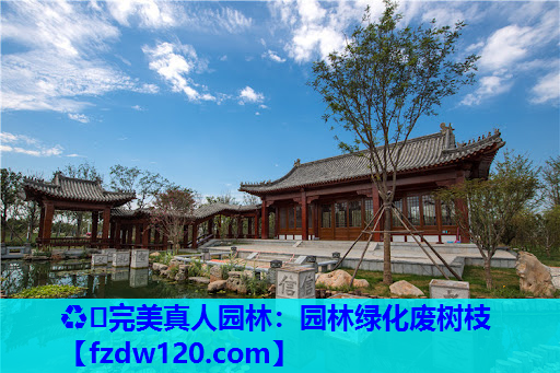 ♻️完美真人园林：园林绿化废树枝