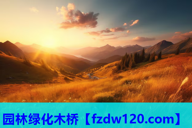 园林绿化木桥
