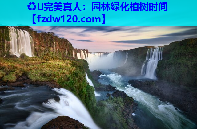 ♻️完美真人：园林绿化植树时间
