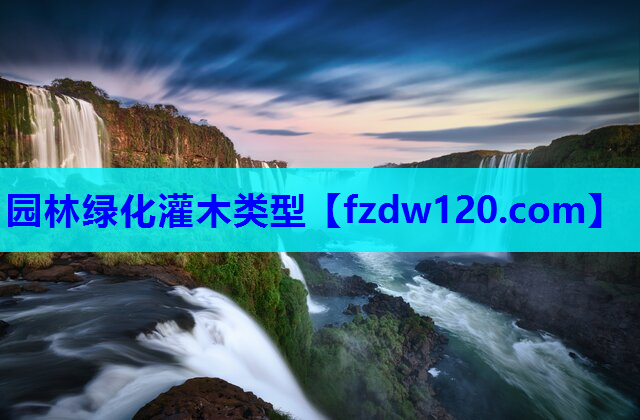 园林绿化灌木类型