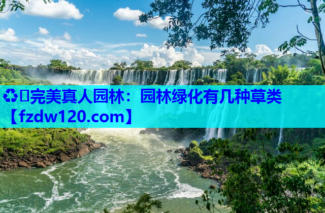 ♻️完美真人园林：园林绿化有几种草类