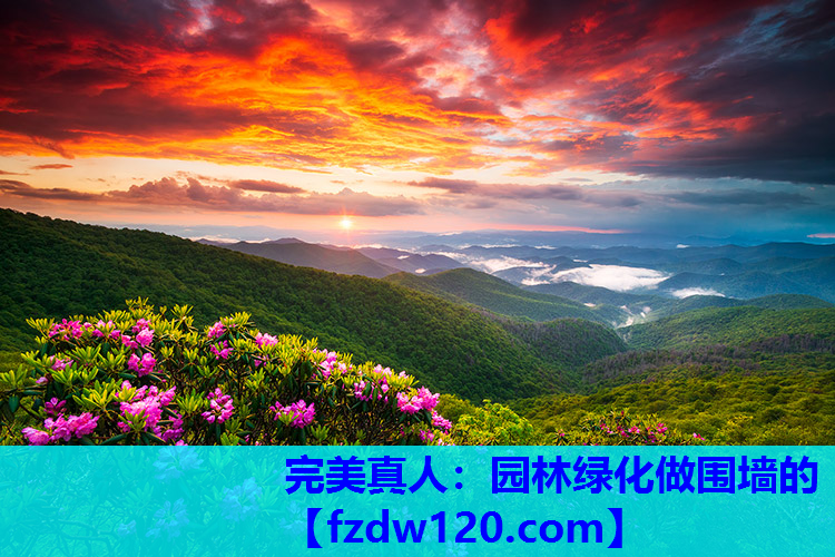 完美真人：园林绿化做围墙的