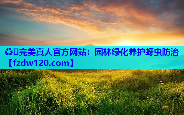 ♻️完美真人官方网站：园林绿化养护蚜虫防治