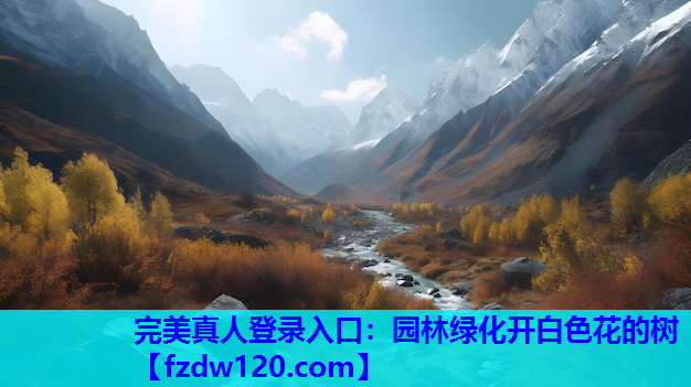 园林绿化开白色花的树