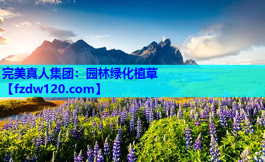 园林绿化植草