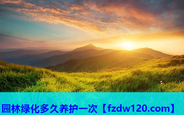 园林绿化多久养护一次