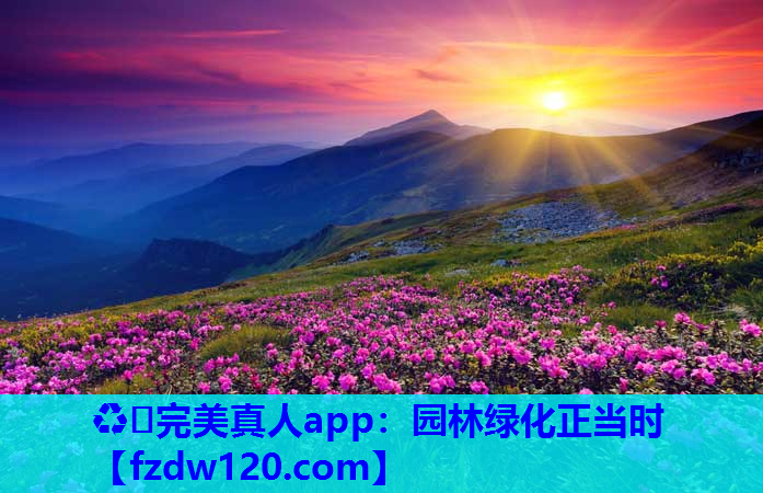 园林绿化正当时
