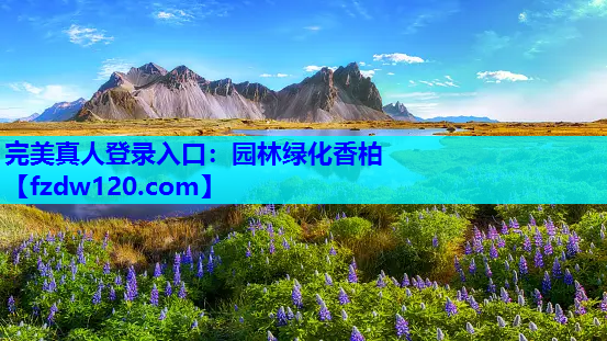 园林绿化香柏