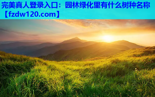 园林绿化里有什么树种名称