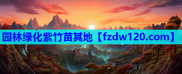 园林绿化紫竹苗其地