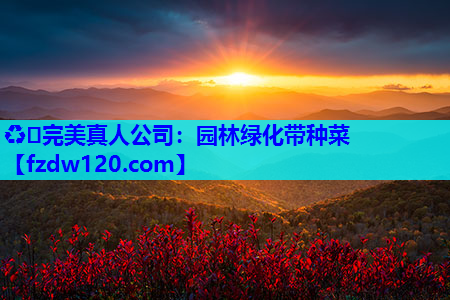 园林绿化带种菜
