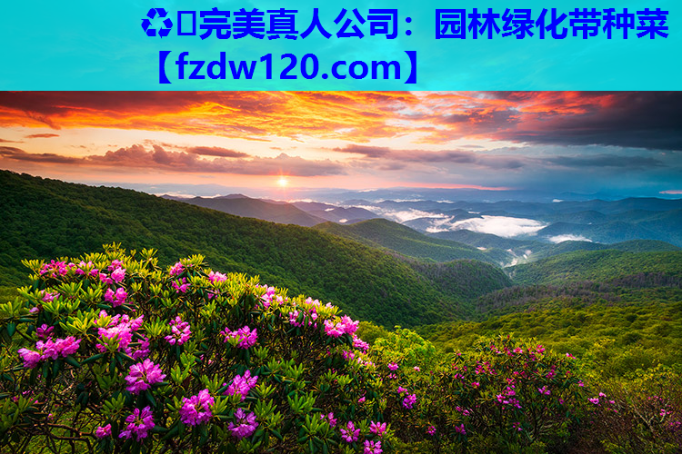 园林绿化带种菜