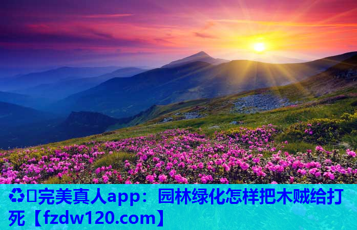 园林绿化怎样把木贼给打死