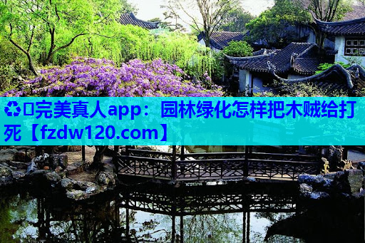 园林绿化怎样把木贼给打死
