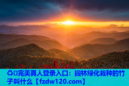 园林绿化栽种的竹子叫什么