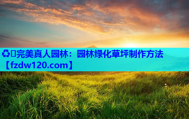 园林绿化草坪制作方法