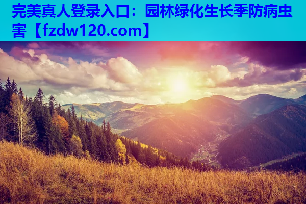 园林绿化生长季防病虫害