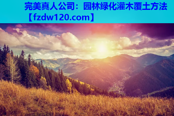 园林绿化灌木覆土方法