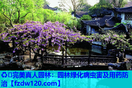 园林绿化病虫害及用药防治